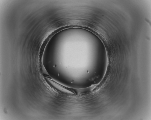 X0000098030880200803281406