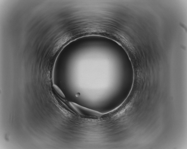 X0000098030881200803281406