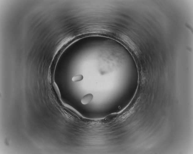 X0000098030883200803281406