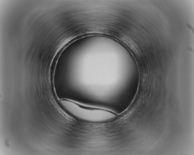 X0000098030884200803281406