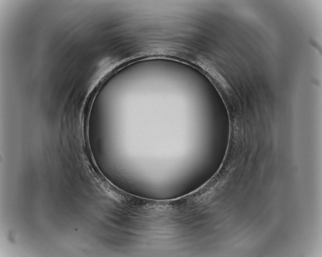 X0000098030886200803281406