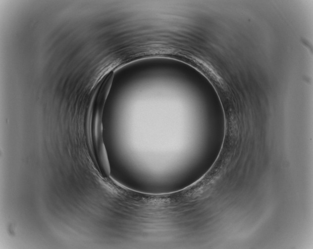 X0000098030889200803281406