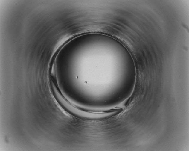 X0000098030894200803281406