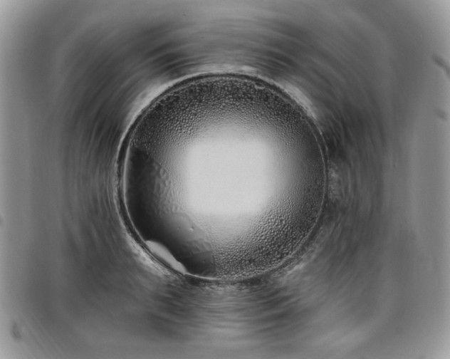 X0000098030895200803281406