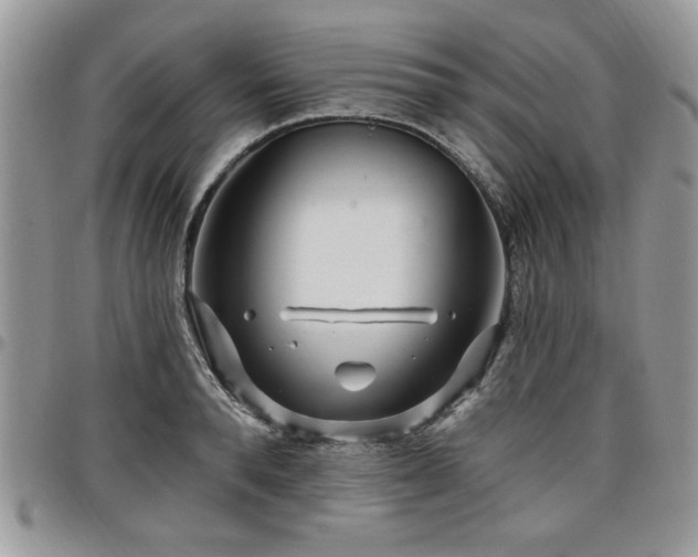 X0000098030896200803281406