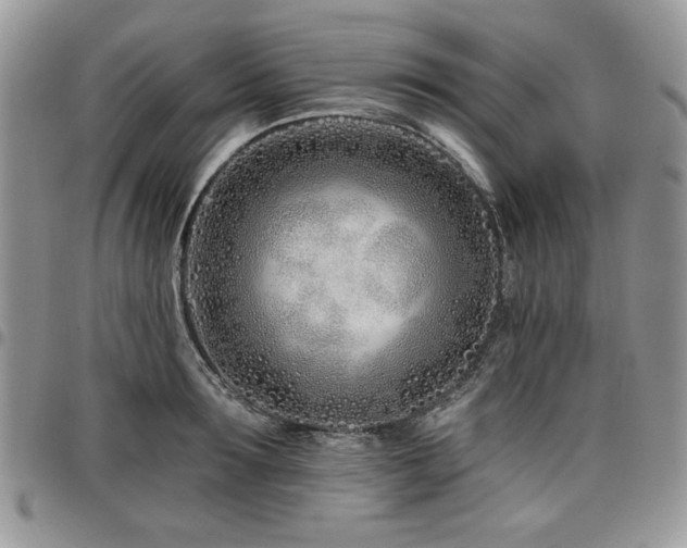 X0000098030899200803281406