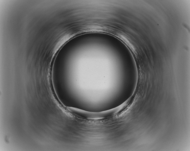 X0000098030901200803281406