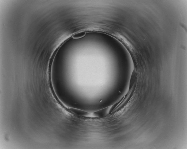 X0000098030902200803281406