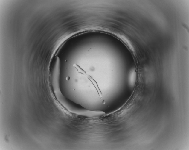 X0000098030903200803281406