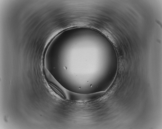 X0000098030904200803281406