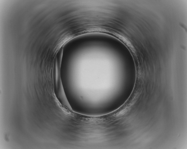 X0000098030905200803281406