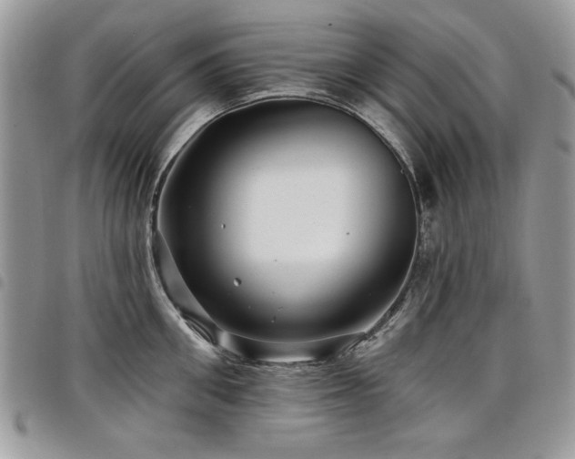 X0000098030906200803281406