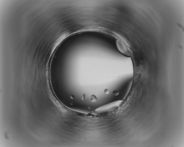 X0000098030907200803281406