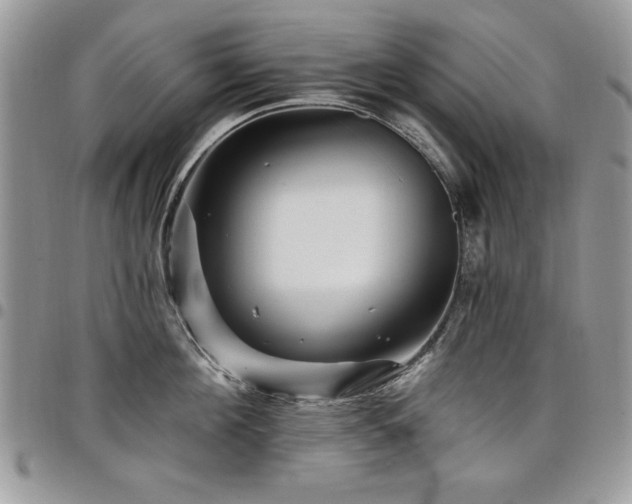 X0000098030908200803281406