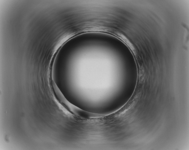 X0000098030909200803281406