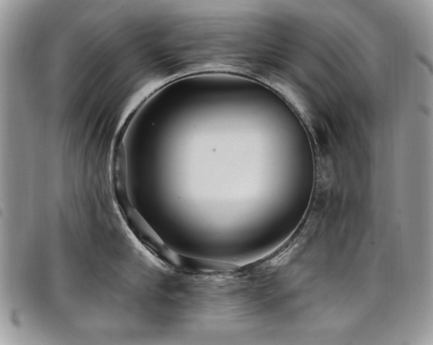 X0000098030910200803281406