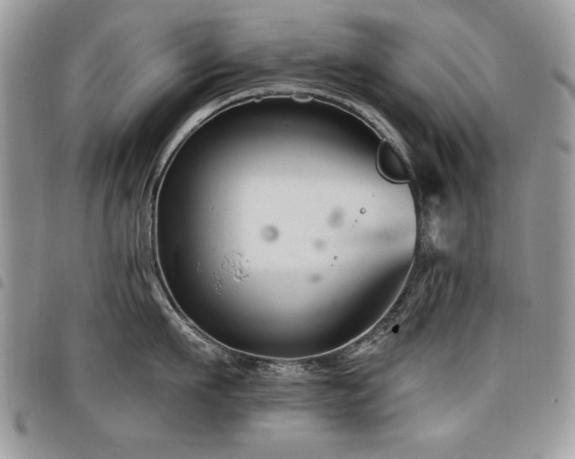 X0000098030911200803281406