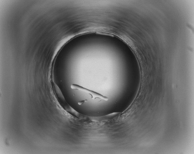 X0000098030912200803281406