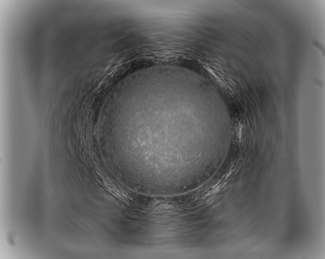 X0000098030913200803281405