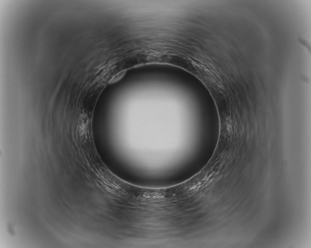 X0000098030914200803281405