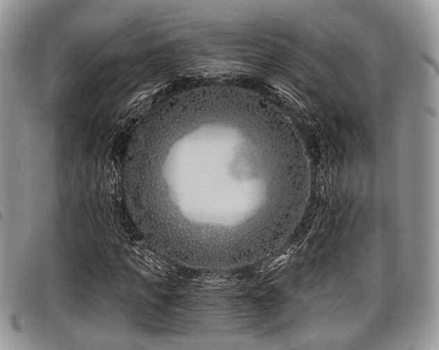 X0000098030917200803281405