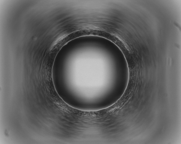 X0000098030919200803281405