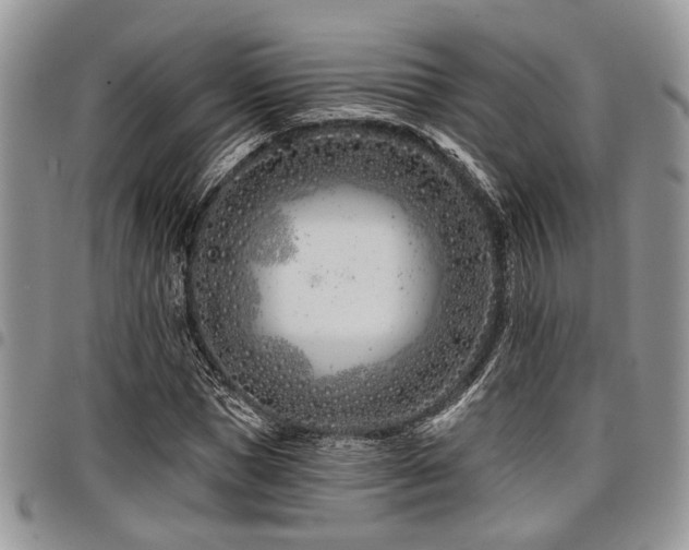 X0000098030921200803281405