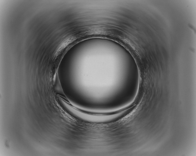 X0000098030922200803281405