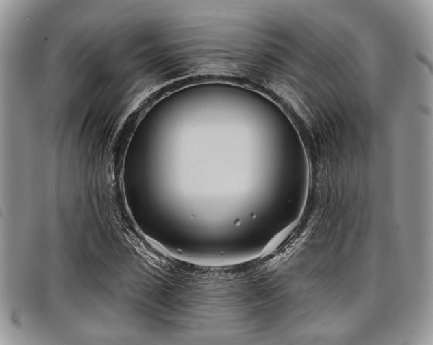 X0000098030923200803281405