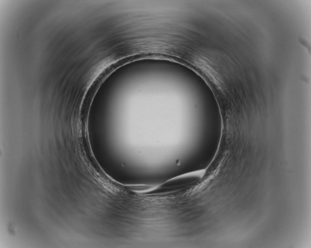 X0000098030924200803281405