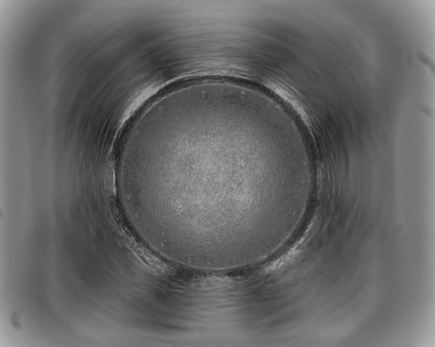 X0000098030925200803281405