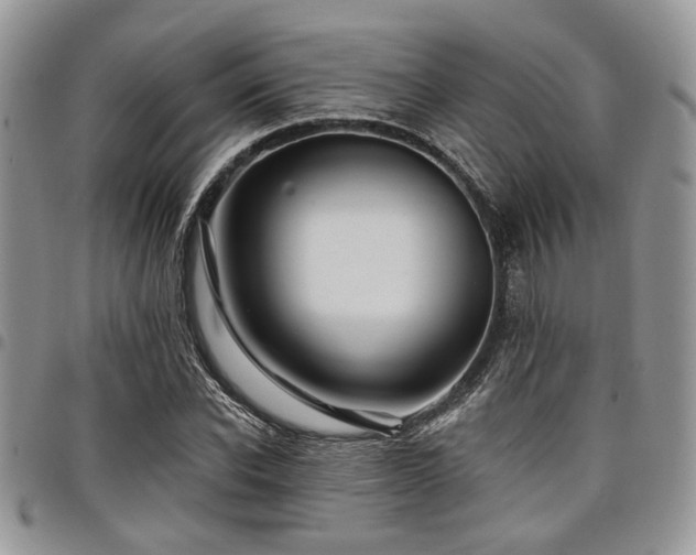 X0000098030926200803281405