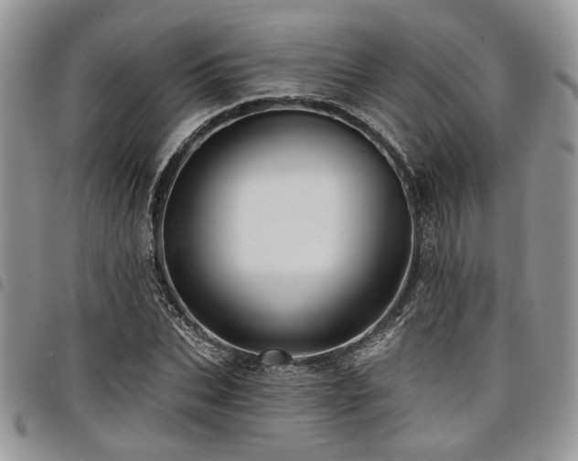 X0000098030927200803281405