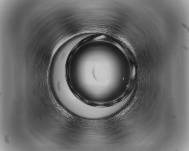 X0000098030928200803281405