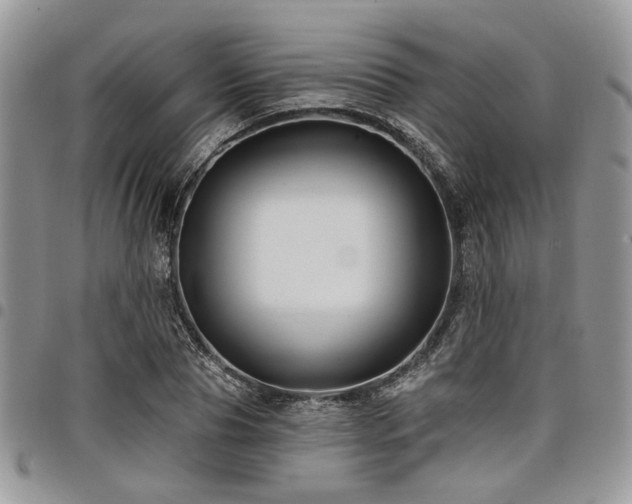 X0000098030929200803281405