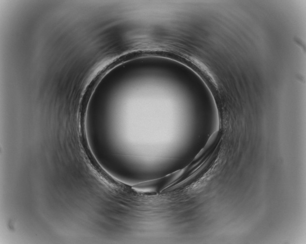 X0000098030935200803281405