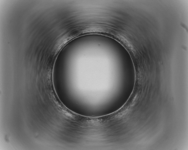 X0000098030937200803281405