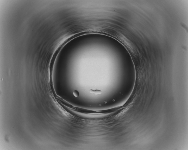 X0000098030940200803281405