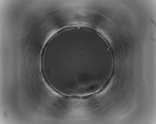 X0000098030941200803281405