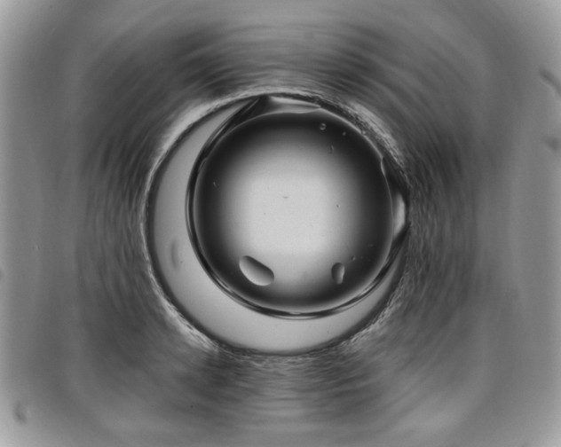 X0000098030942200803281405