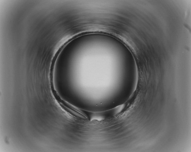 X0000098030943200803281405