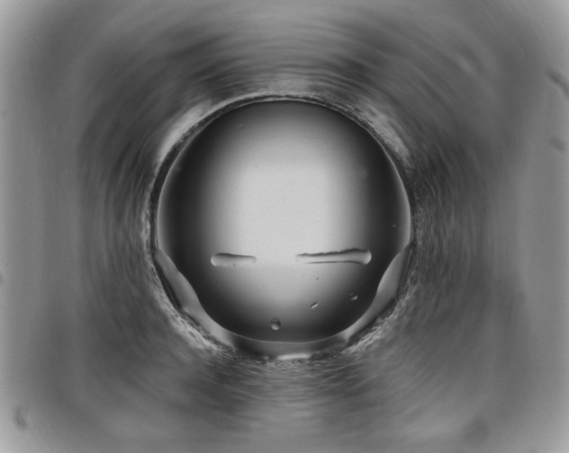 X0000098030944200803281405