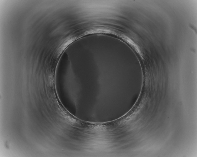 X0000098030945200803281405