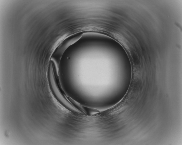 X0000098030946200803281406