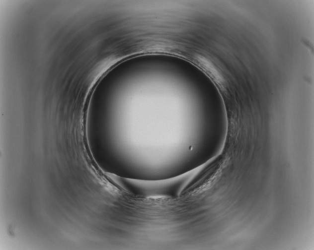 X0000098030948200803281406