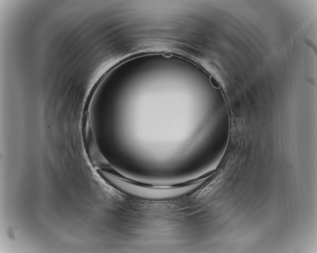 X0000098030951200803281406