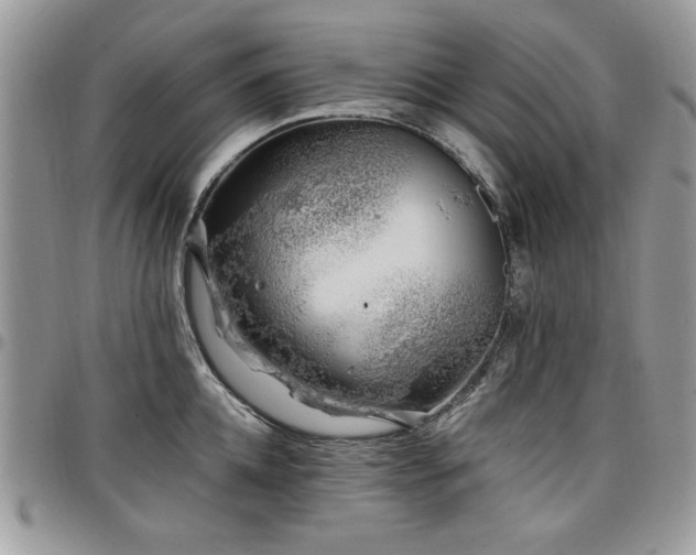 X0000098030952200803281406