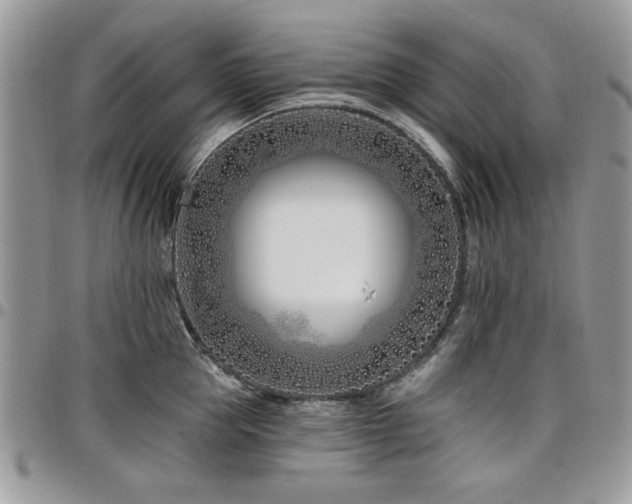 X0000098030953200803281406