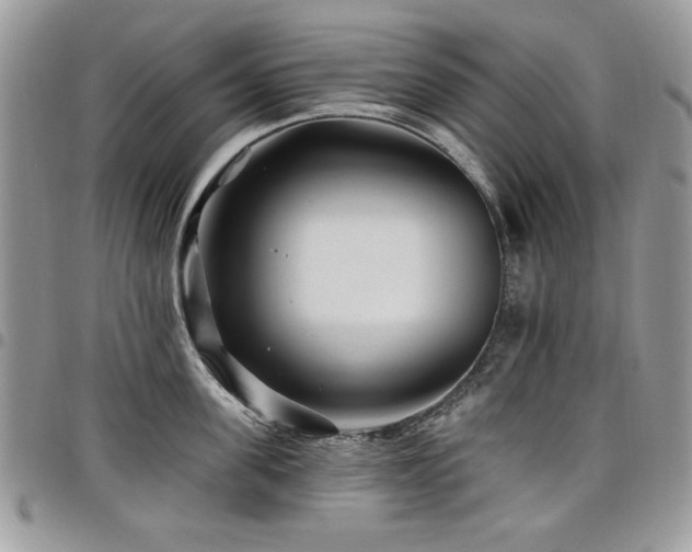 X0000098030955200803281406