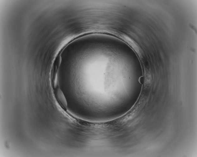 X0000098030958200803281406